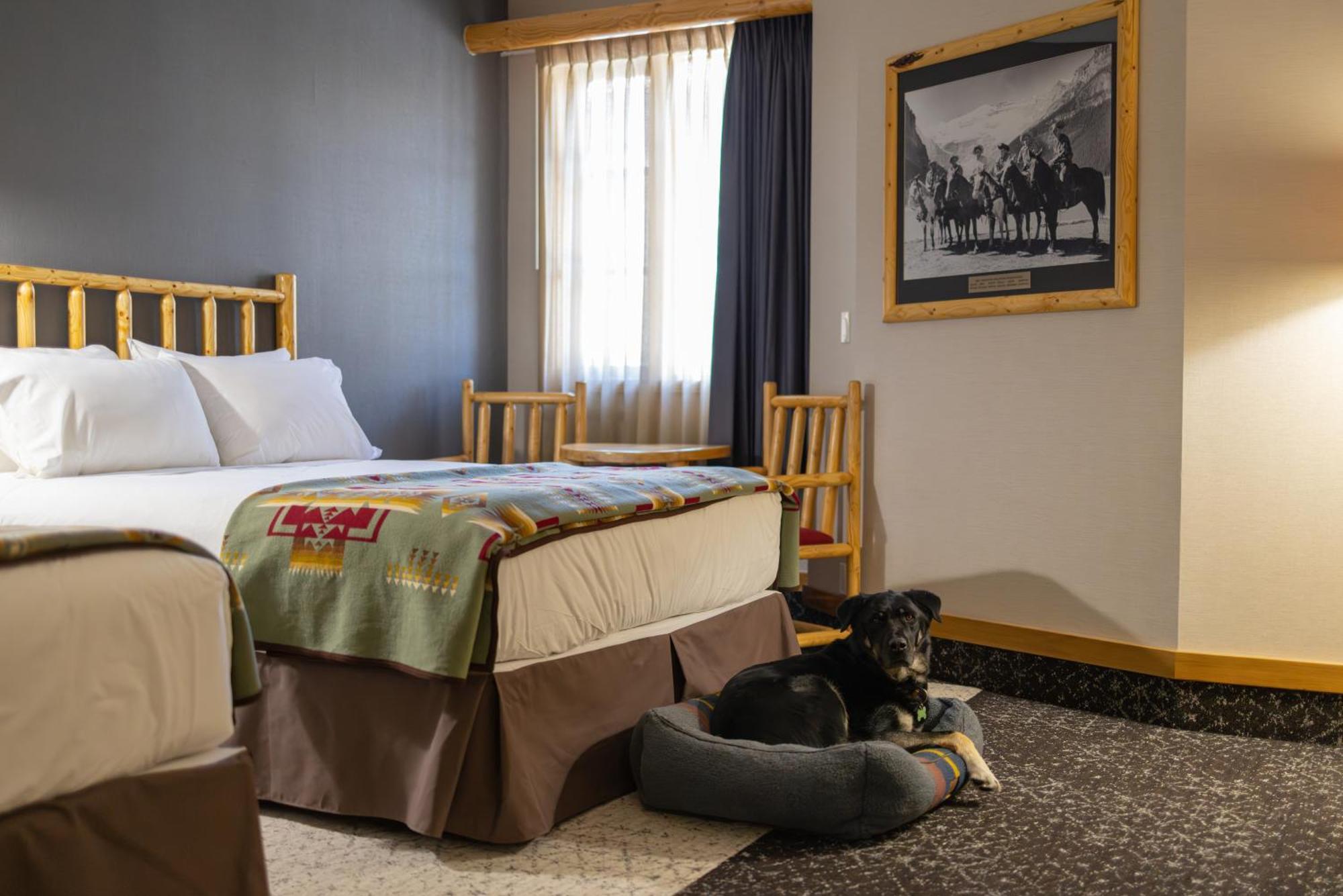 Brewster Mountain Lodge Банфф Екстер'єр фото